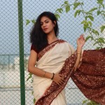 Pure Ndy Silk Shari