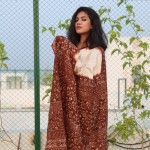 Pure Ndy Silk Shari