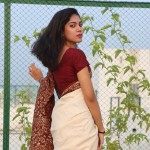 Pure Ndy Silk Shari